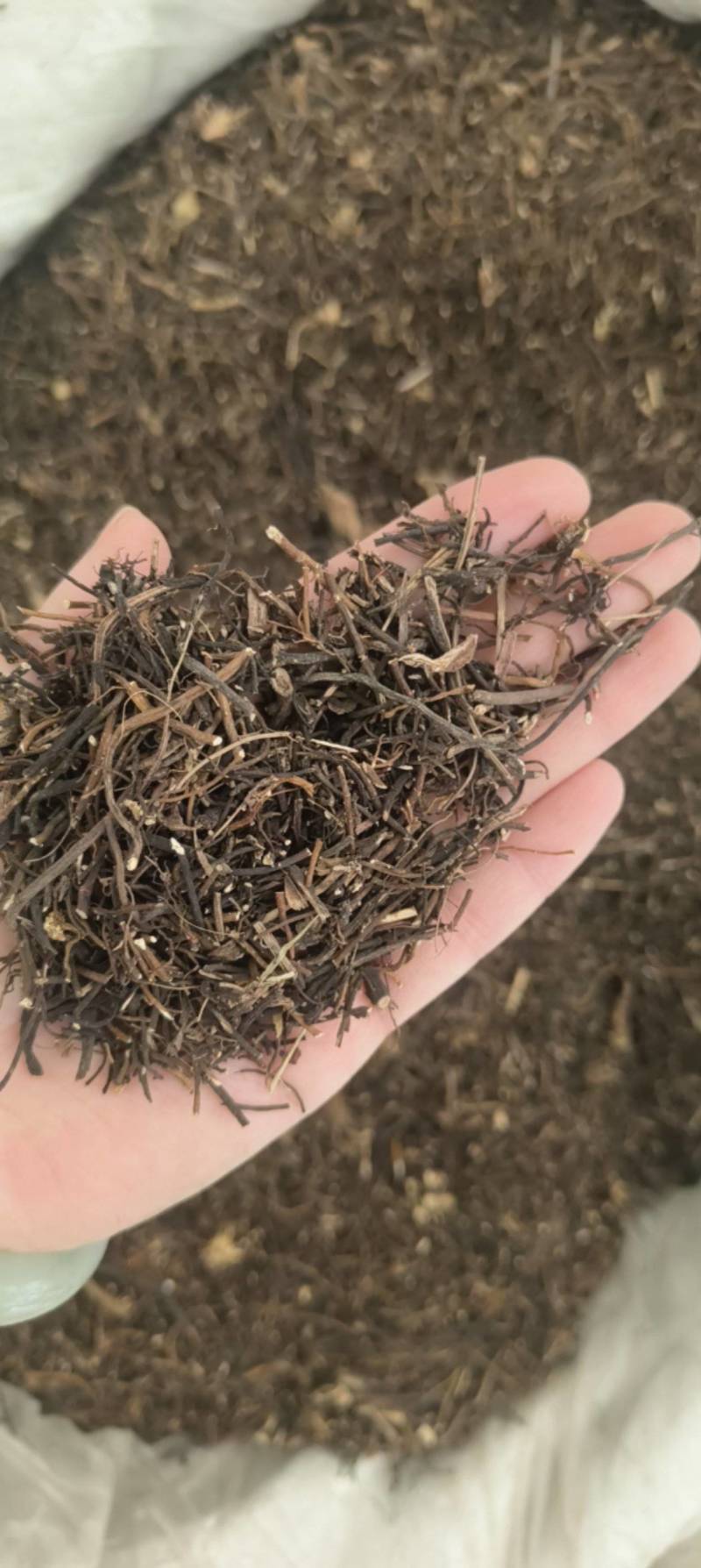 （热销）威灵仙灵仙实物拍摄量多从优产地大货中药材批发零