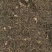 （热销）威灵仙灵仙实物拍摄量多从优产地大货中药材批发零