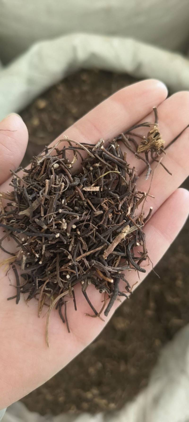 （热销）威灵仙灵仙实物拍摄量多从优产地大货中药材批发零