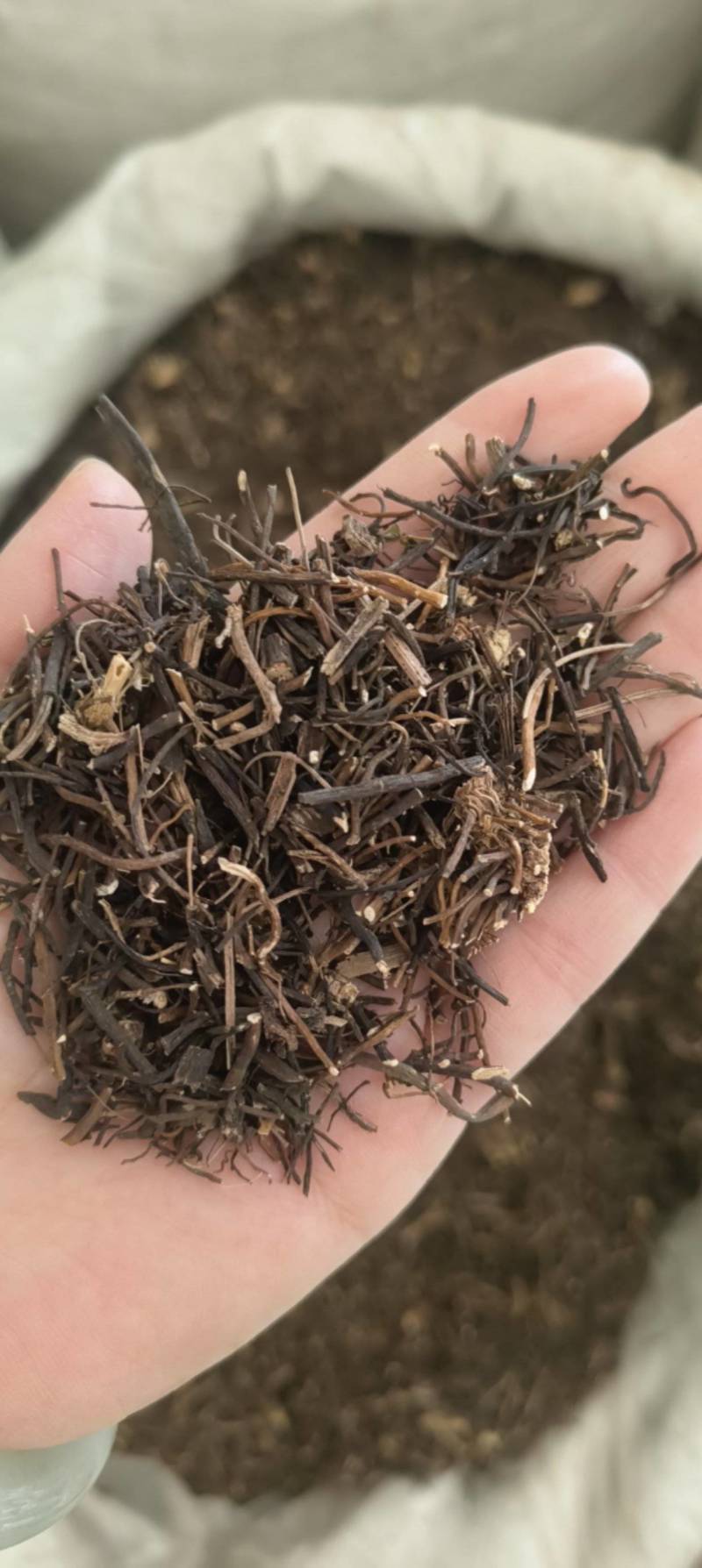 （热销）威灵仙灵仙实物拍摄量多从优产地大货中药材批发零
