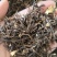 （热销）威灵仙灵仙实物拍摄量多从优产地大货中药材批发零