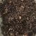 （热销）威灵仙灵仙实物拍摄量多从优产地大货中药材批发零