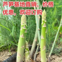 基地芦笋直销
