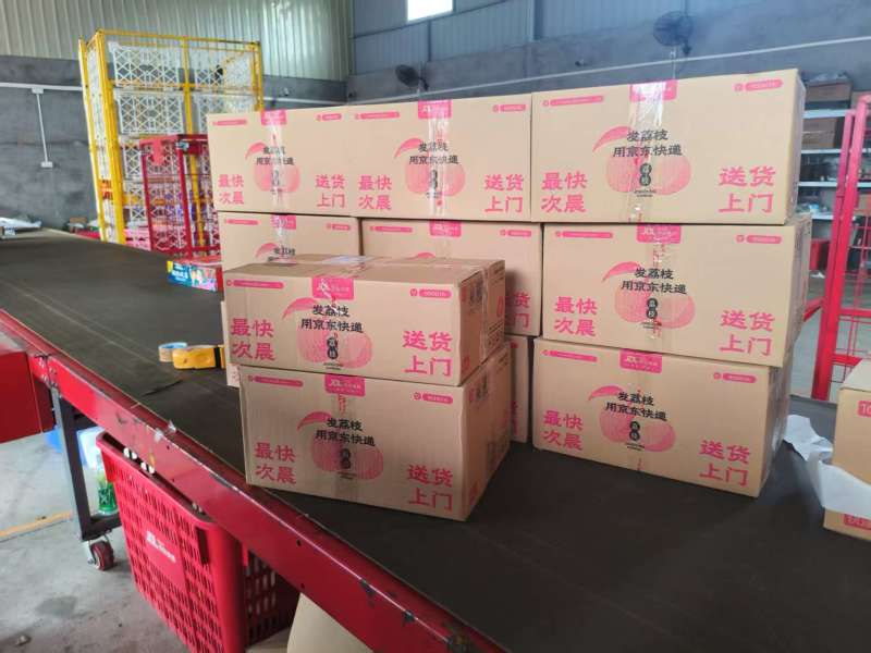 南沙本地桂味荔枝可一件代发