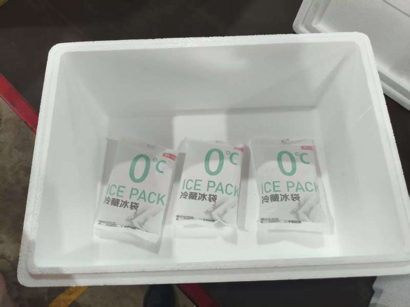 南沙本地桂味荔枝可一件代发