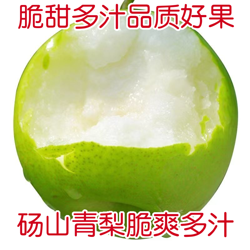 皇冠梨青梨酥脆一号翠玉砀山酥梨一件代发社区团购
