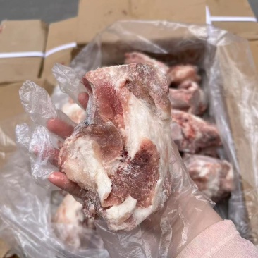 腿骨块