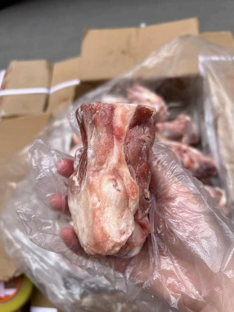 腿骨块