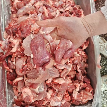 肥猪精碎肉25-5月份生产新货带点瘀血，临沂提