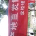 贵州安顺六马蜂糖李,香甜可口全国独有,吃味独特品质好耐运