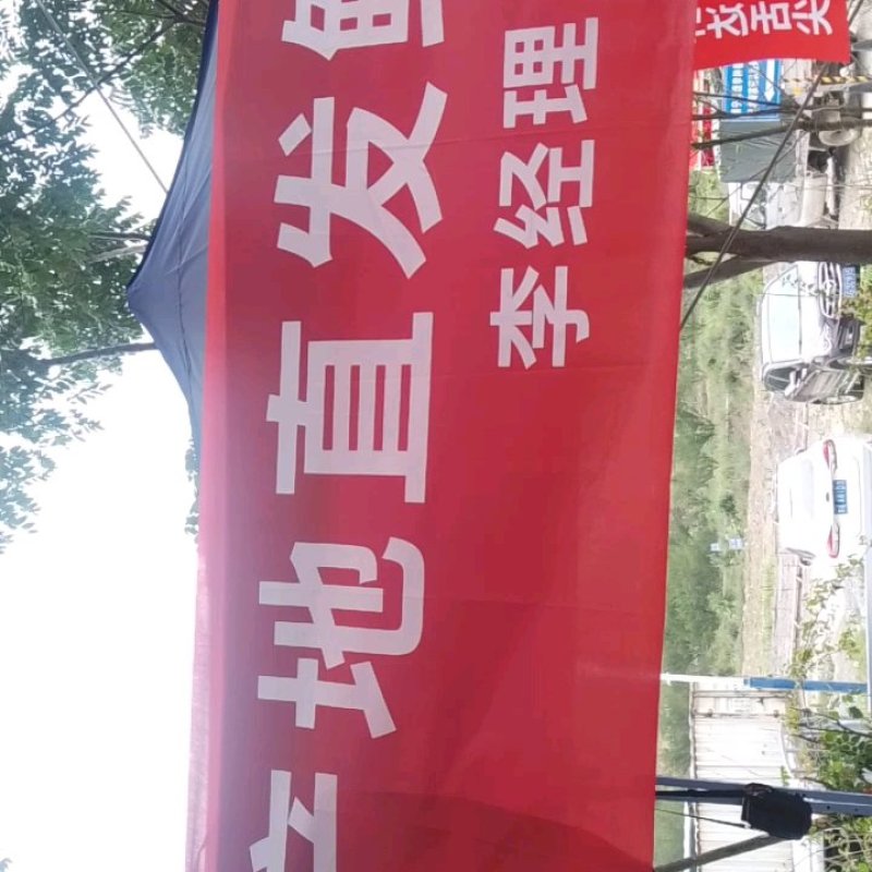贵州安顺六马蜂糖李，香甜可口全国独有，吃味独特品质好耐运