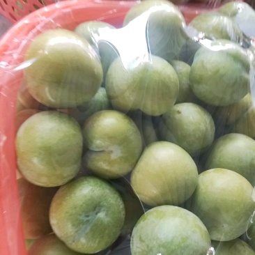 贵州安顺六马蜂糖李,香甜可口全国独有,吃味独特品质好耐运