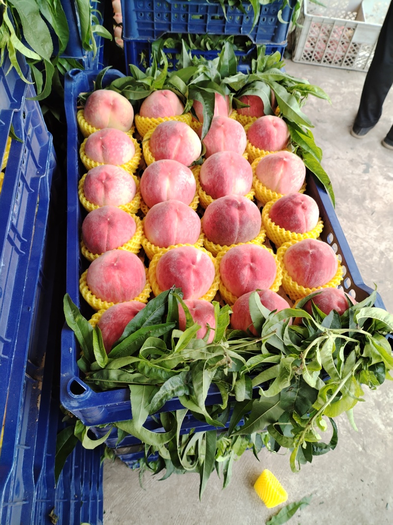 水蜜桃