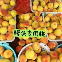 八三毛桃酸甜口感味道不错。