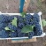 夏黑葡萄