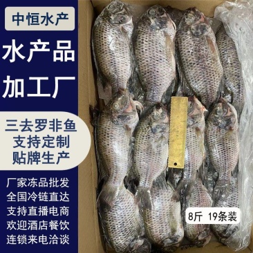 三去罗非鱼8斤19条装新鲜速冻罗非鱼酒店烧烤餐饮商用