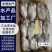 三去罗非鱼8斤19条装新鲜速冻罗非鱼酒店烧烤餐饮商用