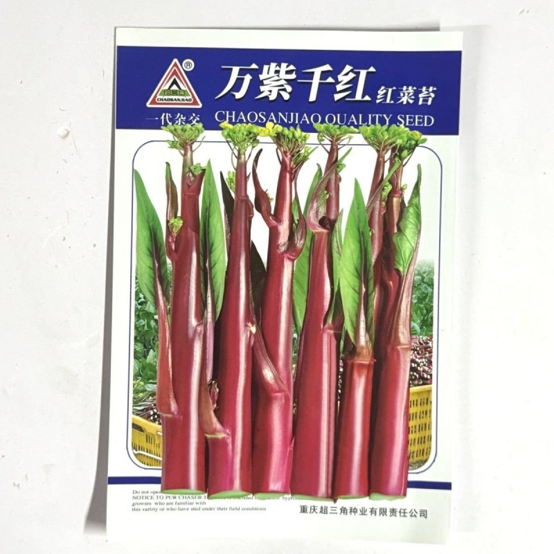 万紫千红红菜苔种子红菜心洪山菜苔种籽耐寒抗病中早熟菜薹种