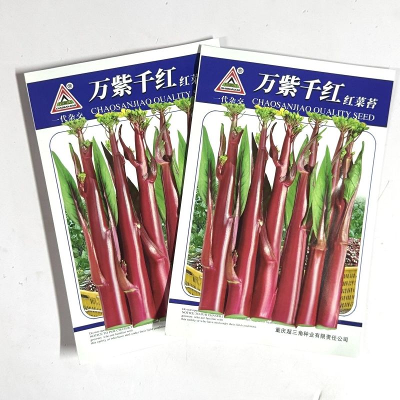 万紫千红红菜苔种子红菜心洪山菜苔种籽耐寒抗病中早熟菜薹种