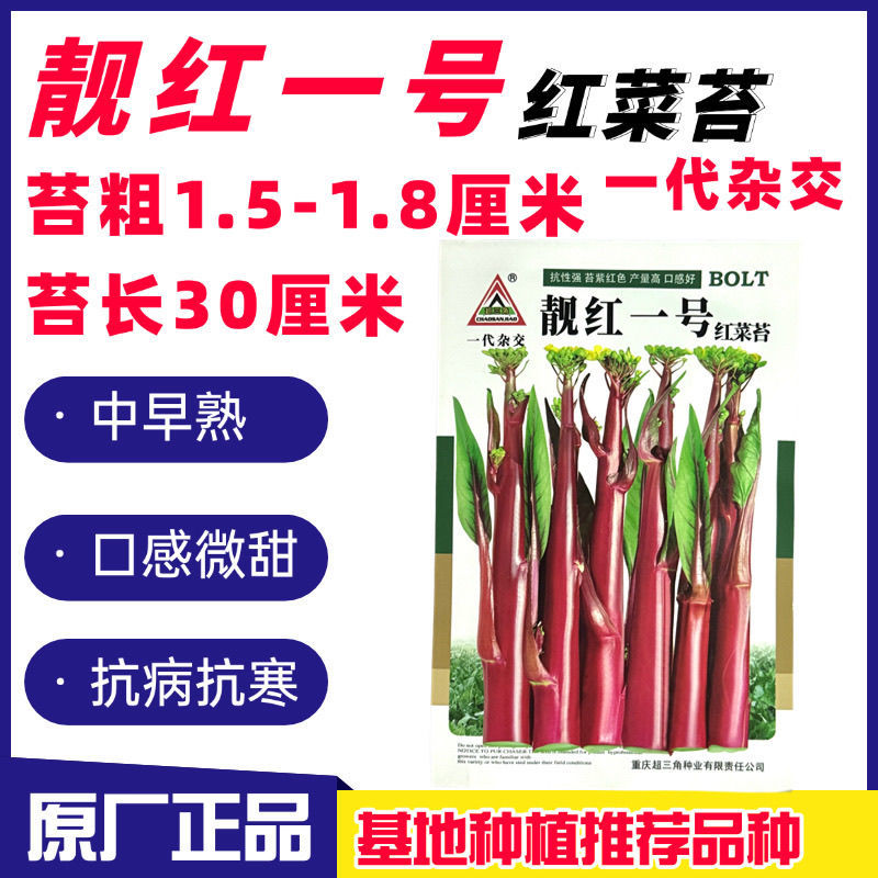 靓红一号红菜苔种子红菜心洪山菜苔种籽耐寒抗病中早熟菜薹种