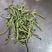 质量好价格优，有需要萝卜干的与我联系