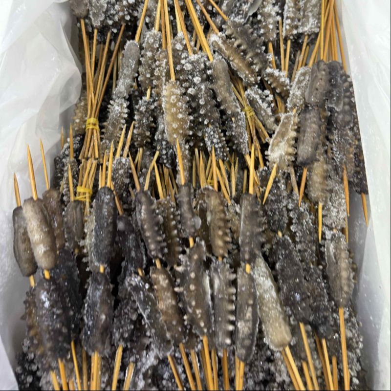海参串串现货速发大量供应价格优惠欢迎下单质询