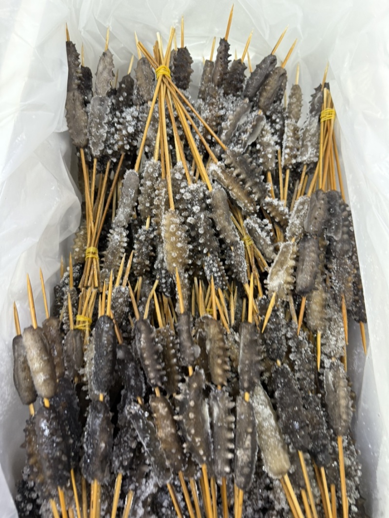 海参串串现货速发大量供应价格优惠欢迎下单质询