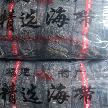 福建优质无沙30公分海带片