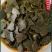 优质菜籽饼