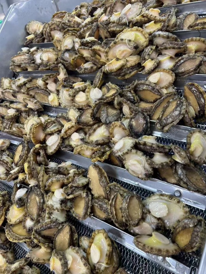 鲍鱼带壳