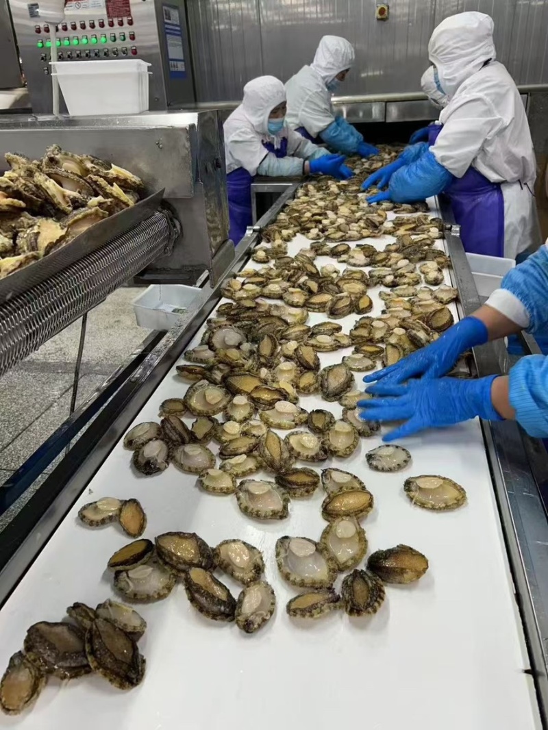 鲍鱼带壳