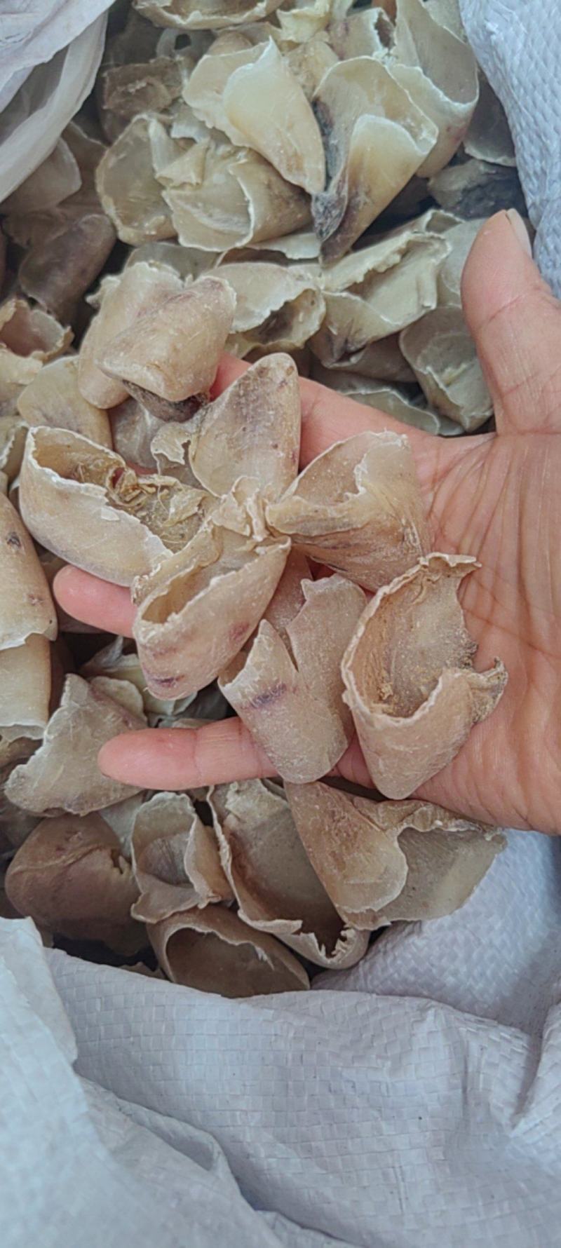 生猪蹄甲批发价格