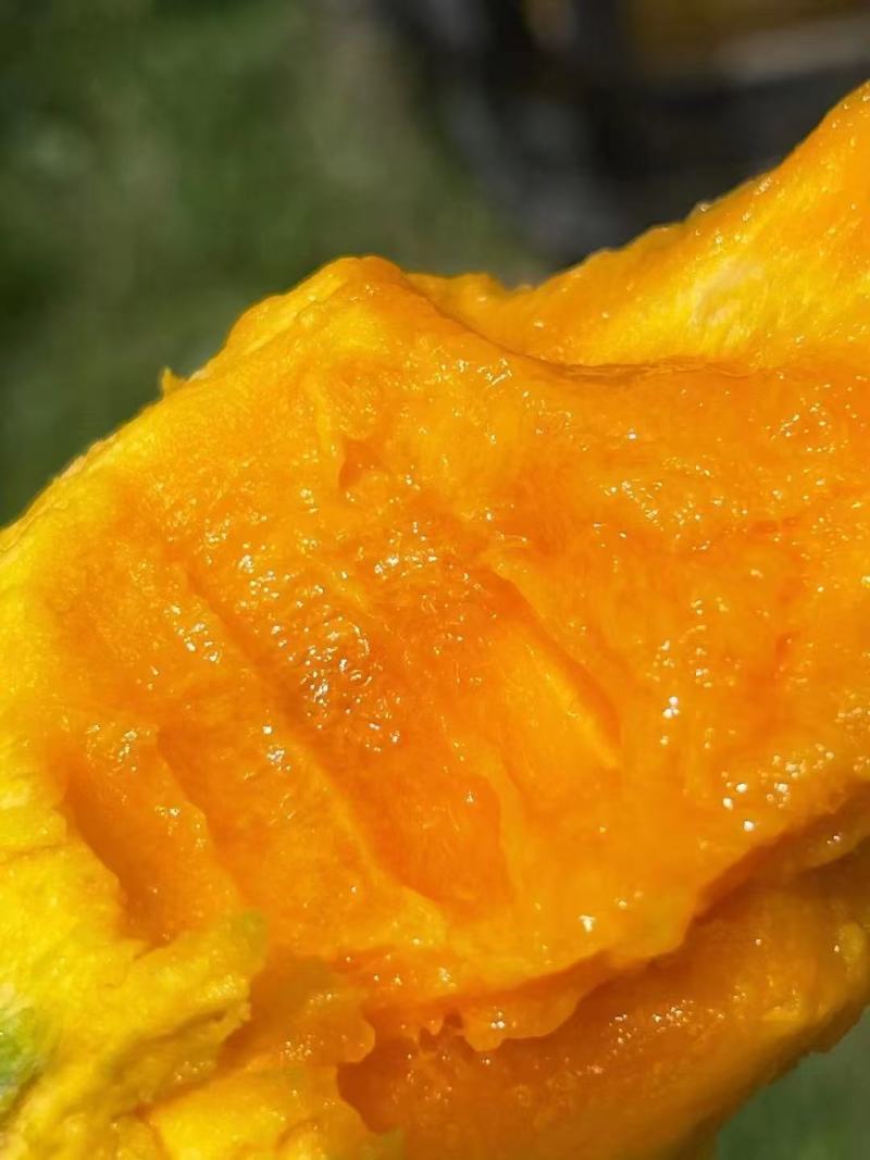 椰香芒果鸡蛋芒大量上市每天发货。市场电商