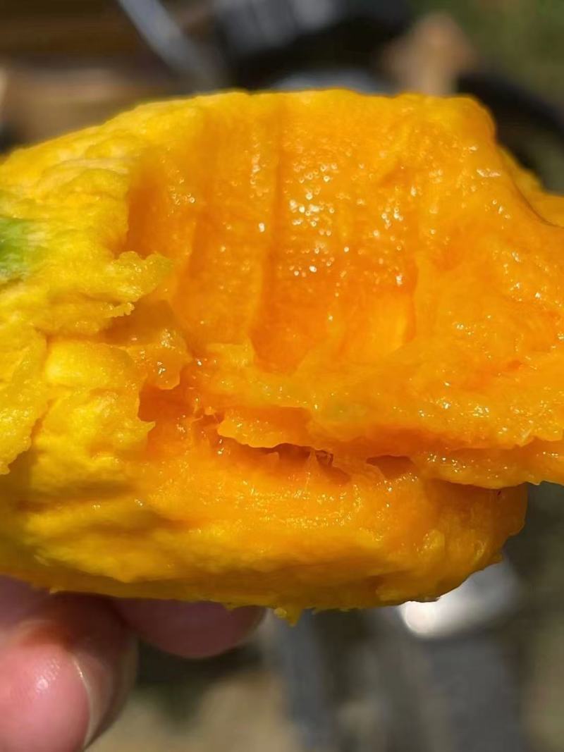 椰香芒果鸡蛋芒大量上市每天发货。市场电商