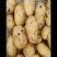 沃土