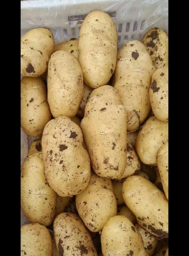沃土