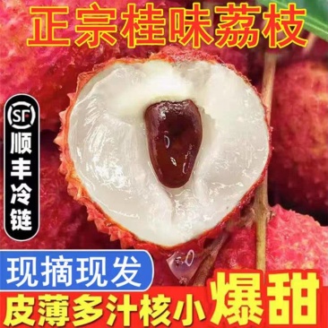 《桂味荔枝》广西荔枝/精品荔枝/40年老树/全国供应批发