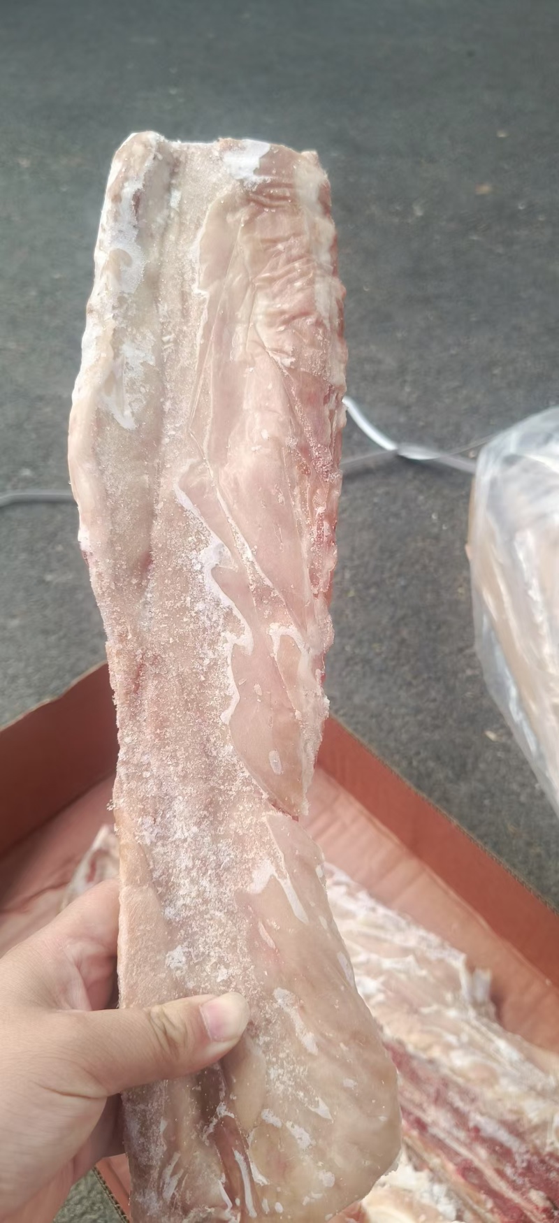 国产龙骨