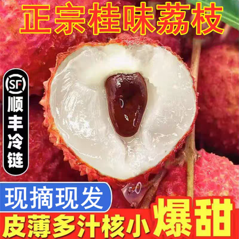 《桂味荔枝》广西荔枝/精品荔枝/40年老树/全国供应批发