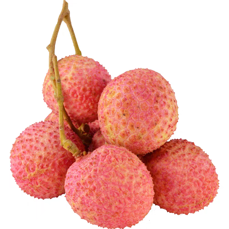 《桂味荔枝》广西荔枝/精品荔枝/40年老树/全国供应批发