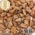 批发菊苣菊苣根量大从优