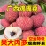 《鸡嘴荔枝》广西荔枝/精品荔枝/40年老树/全国供应批发