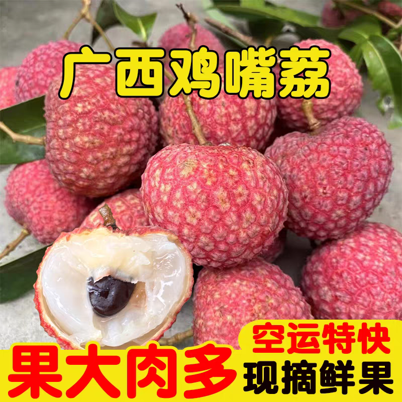 《鸡嘴荔枝》广西荔枝/精品荔枝/40年老树/全国供应批发