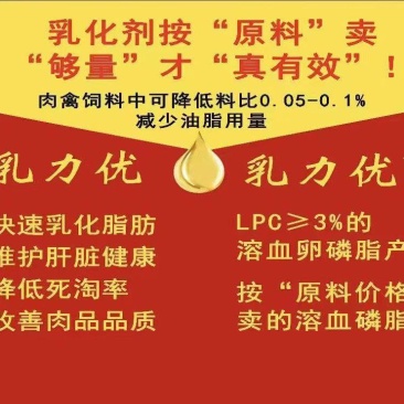 溶血卵磷脂