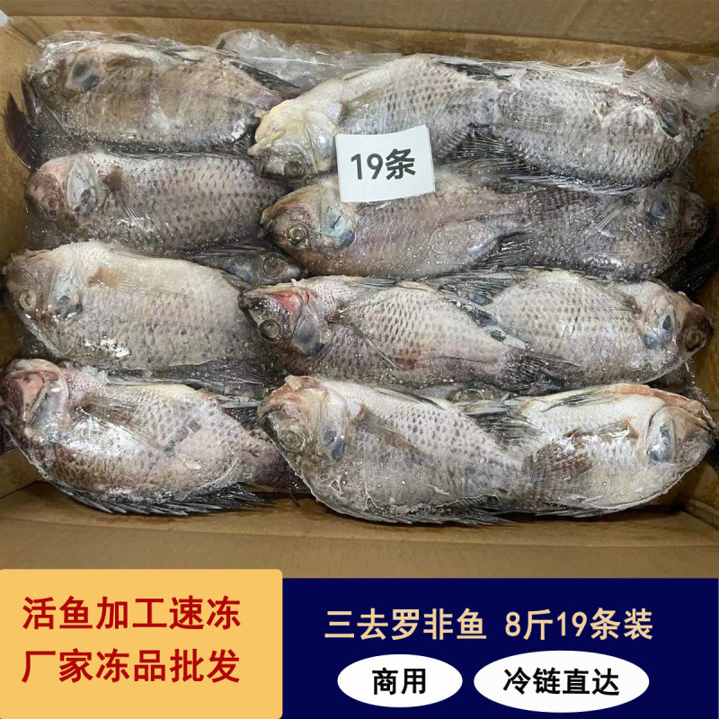 冷冻三去罗非鱼批发新鲜免处理19条8斤装餐饮冻品