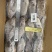 冷冻三去罗非鱼批发新鲜免处理19条8斤装餐饮冻品