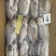 冷冻三去罗非鱼批发新鲜免处理19条8斤装餐饮冻品