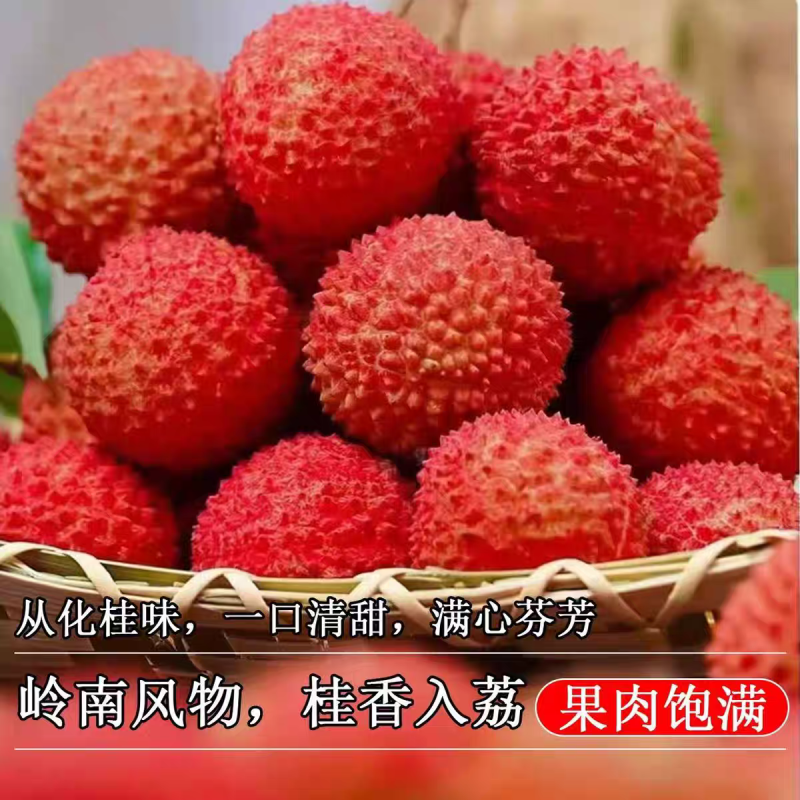 白糖罂荔枝/黑叶荔枝/品种齐全/视频看货/全国供应批发