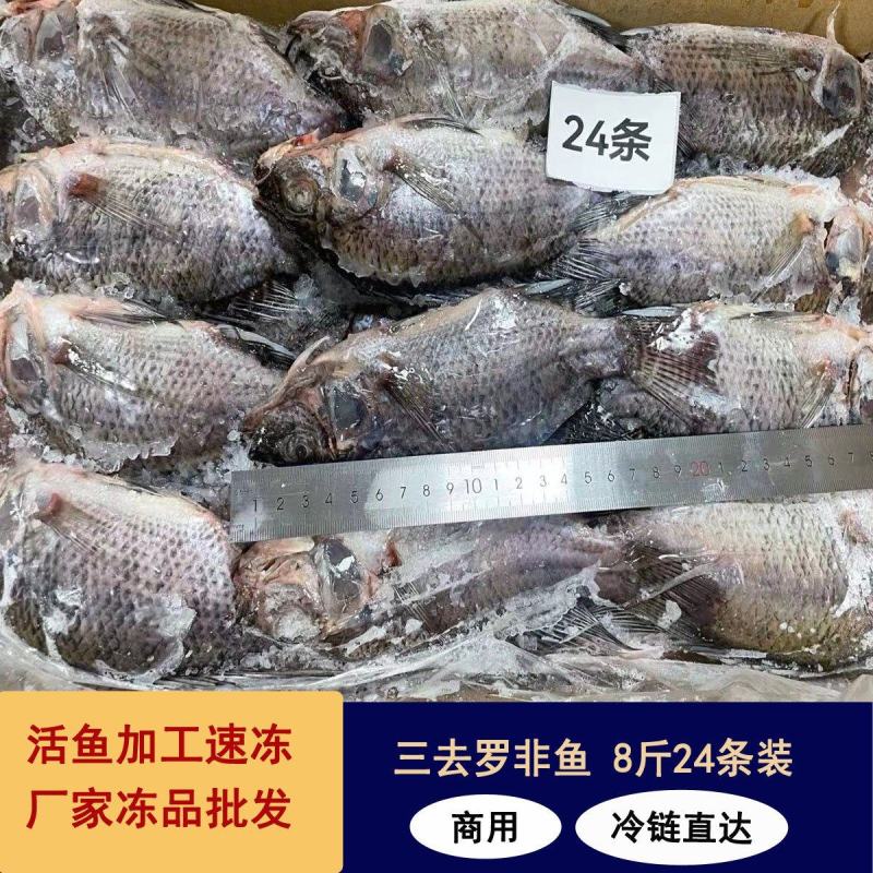冷冻三去罗非鱼批发新鲜免处理24条8斤装餐饮水产冻品