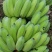 芭蕉